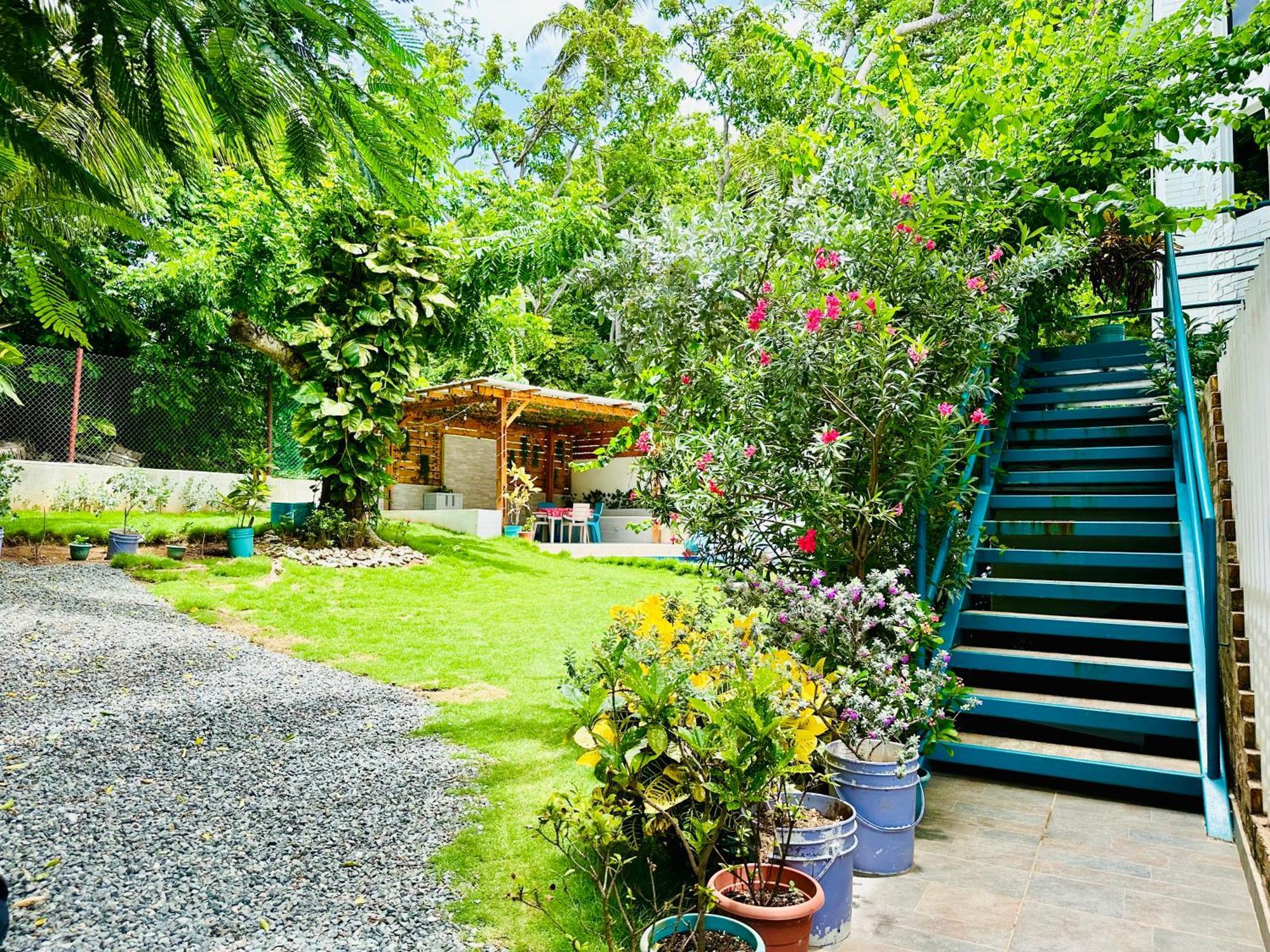 Hotel Palmare House San Andrés Exterior foto